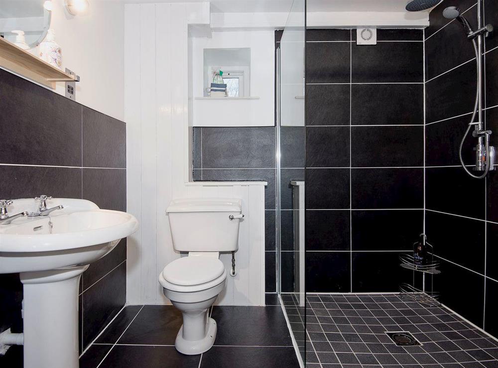 Luxurious modern bathroom with walk in wet room style shower at Tŷ Cai, 