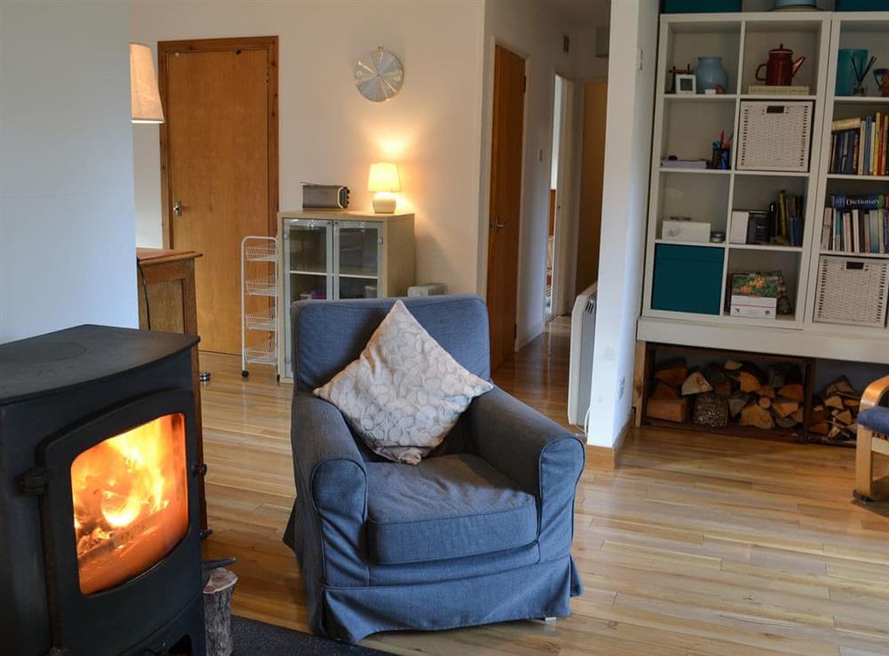 Living room with wood burner (photo 2) at Taigh MAthair in Nethy Bridge, near Aviemore, Inverness-Shire