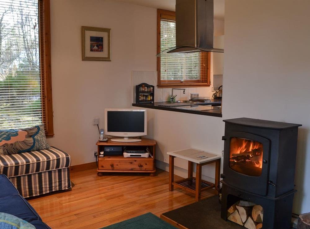Living room with wood burner at Taigh MAthair in Nethy Bridge, near Aviemore, Inverness-Shire