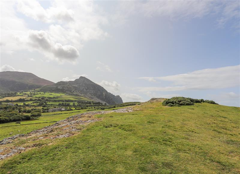 The area around Tal Eryr