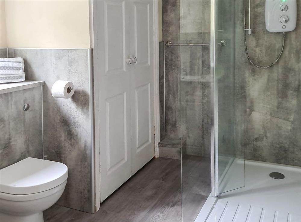 Shower room at Taliaris Isaf in Llandeilo, Dyfed