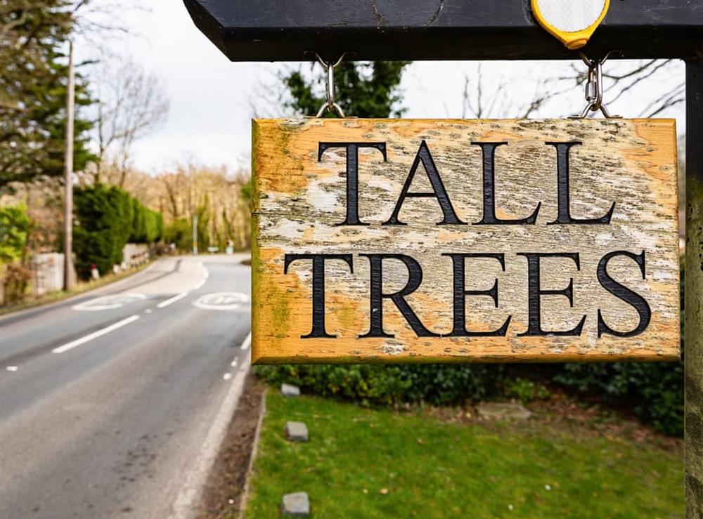 Outdoor area at Tall Trees in Whitstable, Kent