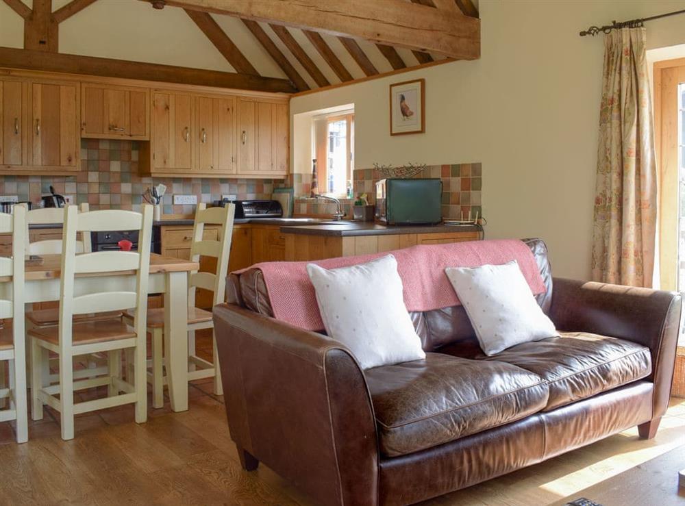 Open plan living space at Talog Barn in Tregynon, Powys