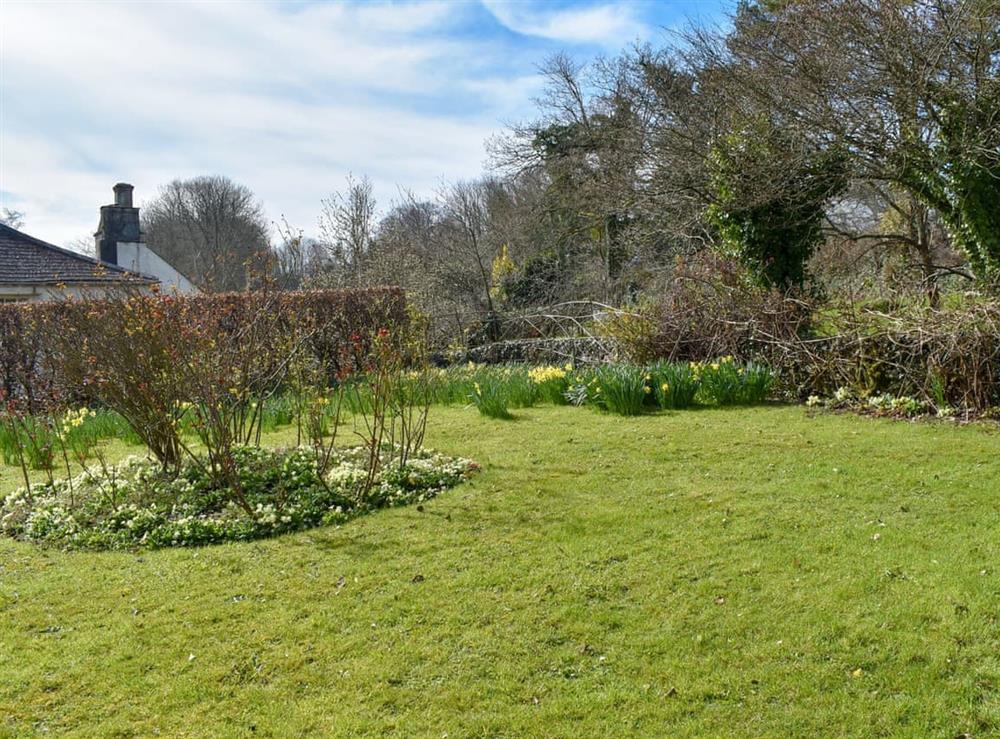 Garden at Tamar Orchard Barn in Gunnislake, Cornwall