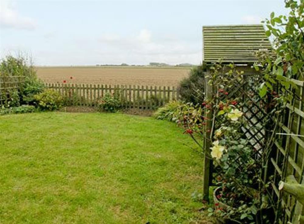 Garden at Tamarisk in Walcott, Norfolk