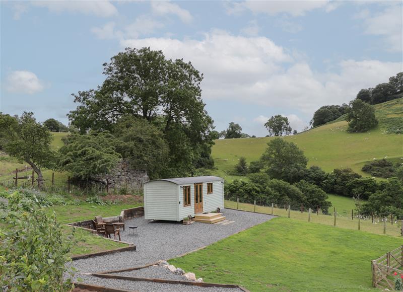 The area around Tan Y Castell Shepherds Hut at Tan Y Castell Shepherds Hut, Llangollen