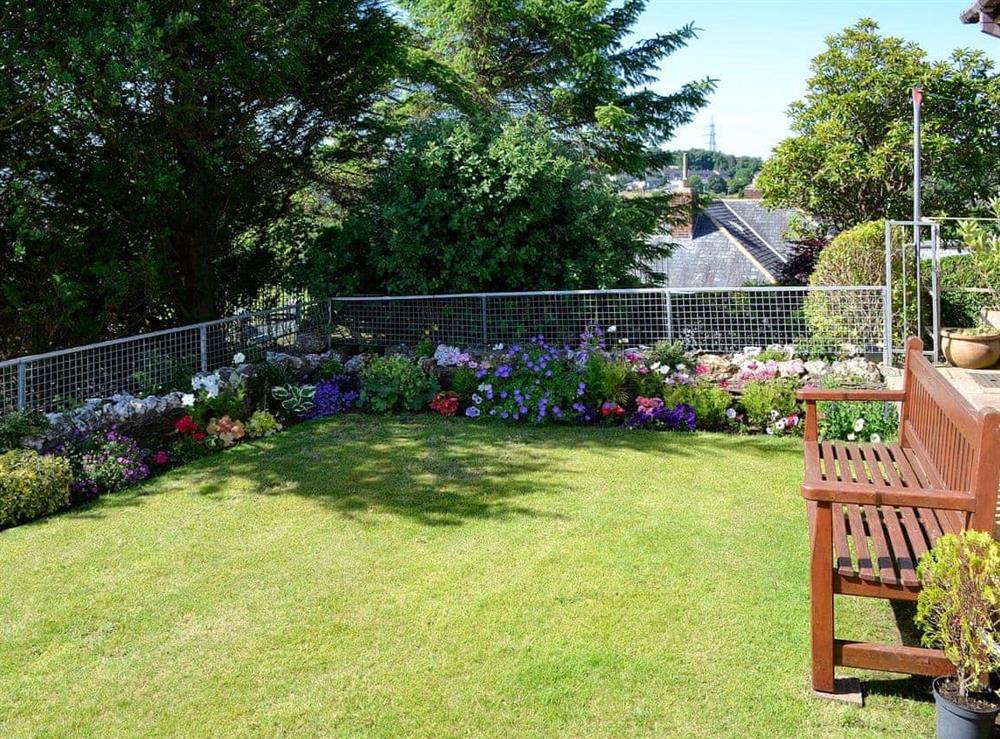 Well maintained and cared for garden at Tan Y Fownog in Penrhyndeudraeth, Gwynedd