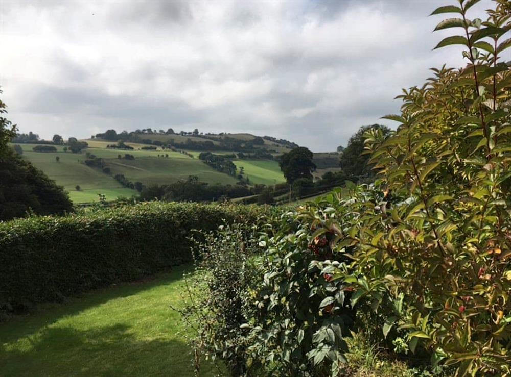 View at Tan- y-lliart in Llangedwyn, near Welshpool, Powys