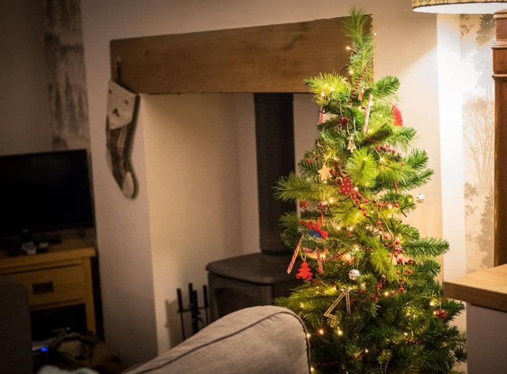Festive touches add a seasonal sparkle to the living room at Tan y Rhos in Manod, near Blaenau Ffestiniog, Gwynedd