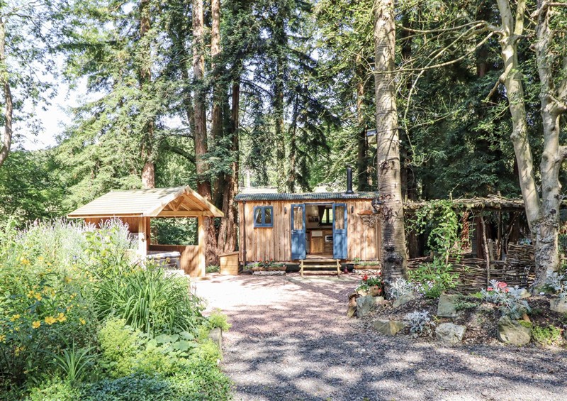Outside Tanglewood Shepherds Hut at Tanglewood Shepherds Hut, Leighton near Welshpool
