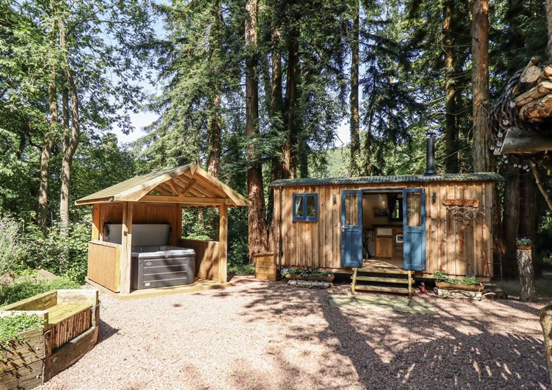 The setting of Tanglewood Shepherds Hut at Tanglewood Shepherds Hut, Leighton near Welshpool