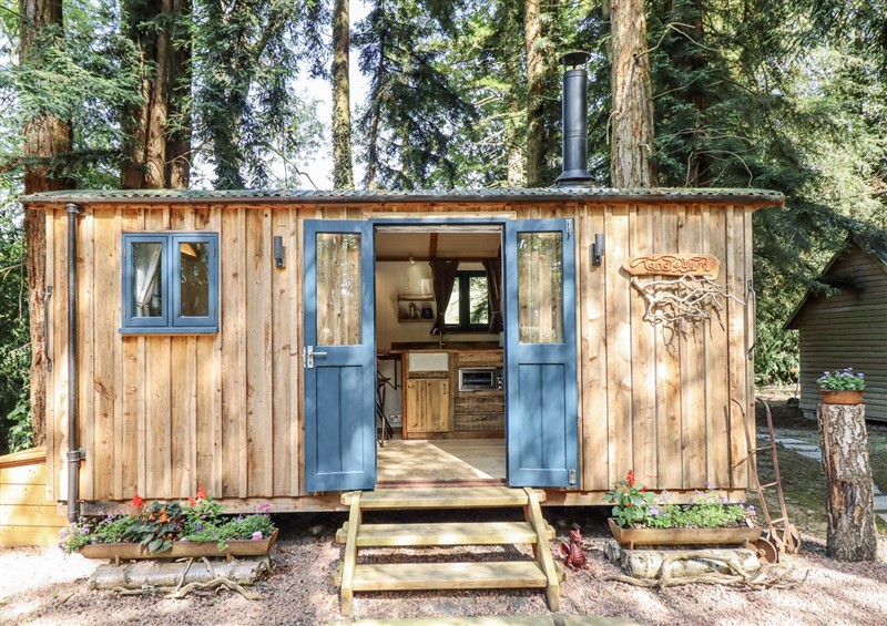 The setting at Tanglewood Shepherds Hut, Leighton near Welshpool