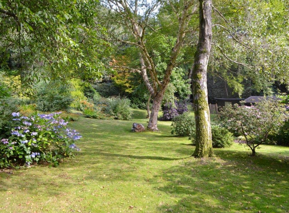 Garden (photo 3) at Tanhurst Cottage in Leith Hill, near Dorking, Surrey