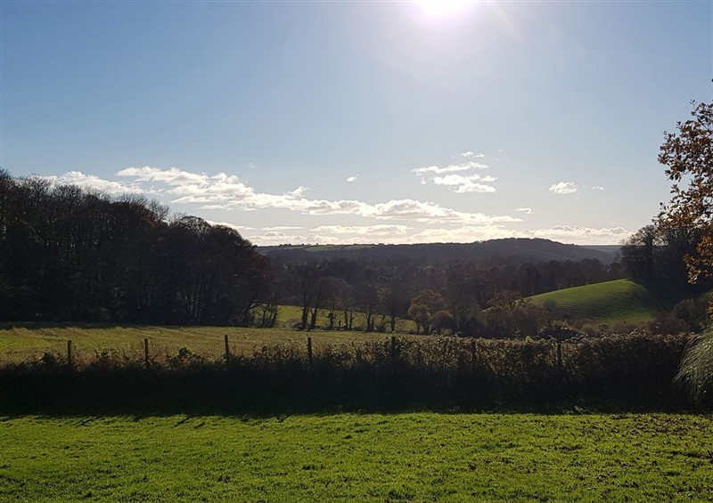The garden in Tapps Lodge (photo 3) at Tapps Lodge, Brixton near Yealmpton