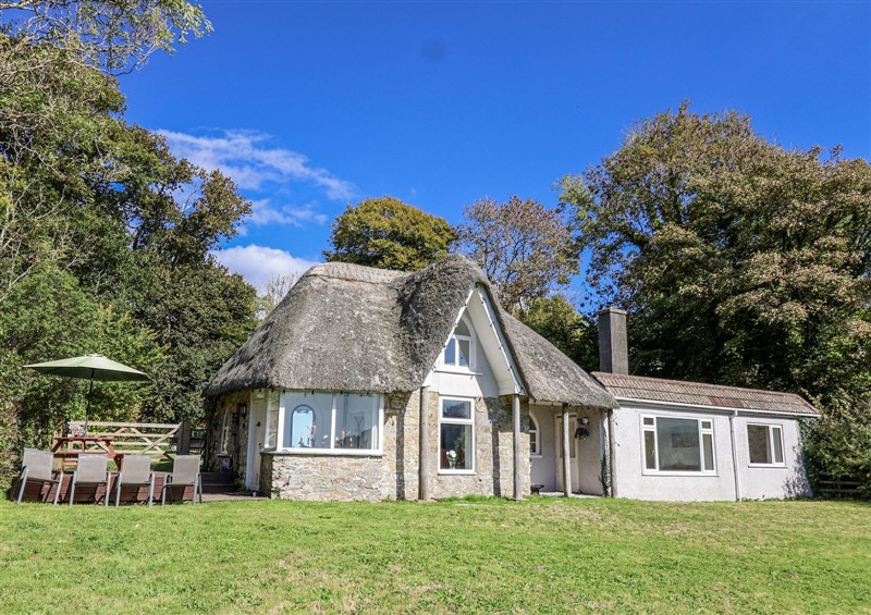 The garden in Tapps Lodge at Tapps Lodge, Brixton near Yealmpton