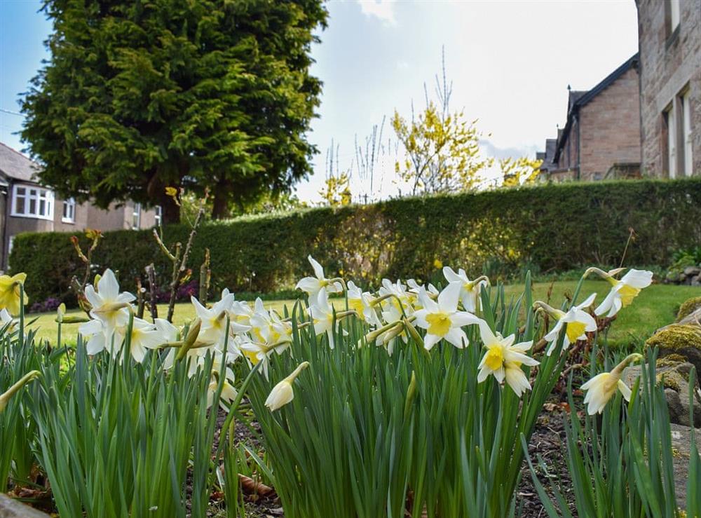 Garden at Tarn House in Wooler, Northumberland