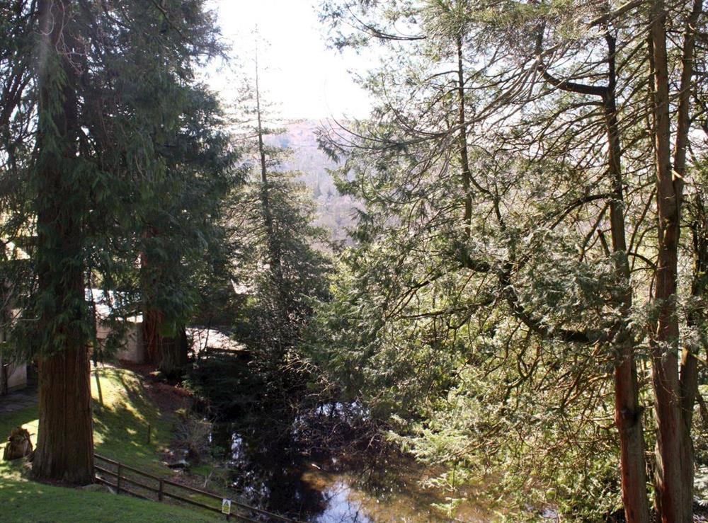 Peaceful woodland location at Tarnside in Skelwith Bridge, Ambleside, Cumbria., Great Britain