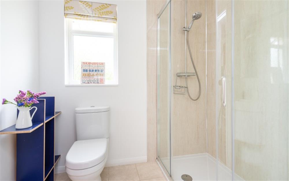Shower room 1 at Tarquin in Bigbury-On-Sea