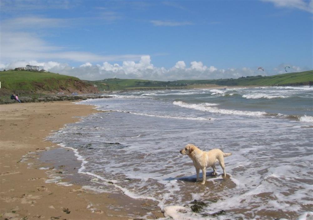 The nearby sandy beach at Tarquin in Bigbury-On-Sea