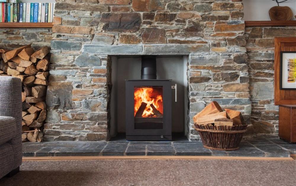 Wood burner new for May 2023 at Tarquin in Bigbury-On-Sea