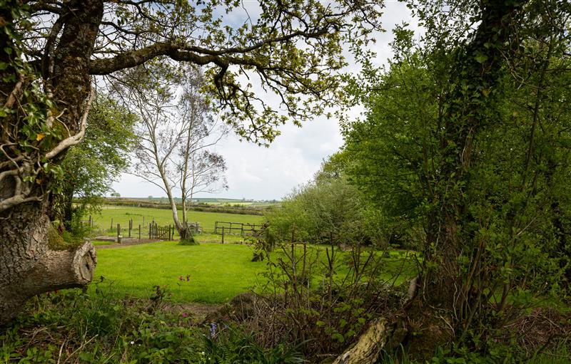 Rural landscape (photo 2) at Tarquol Cottage, Torrington