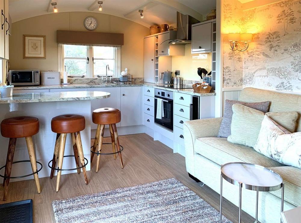 Open plan living space at Tarragon in Lamerton, Devon