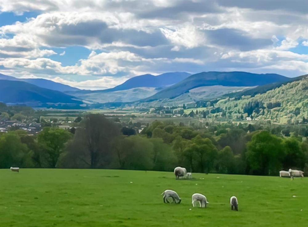 Surrounding area at Tay Lodge in Aberfeldy, Perthshire