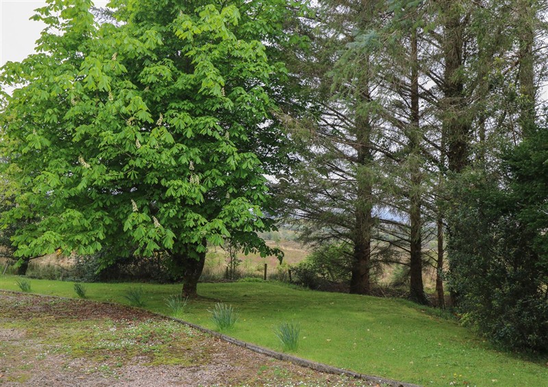 Outside