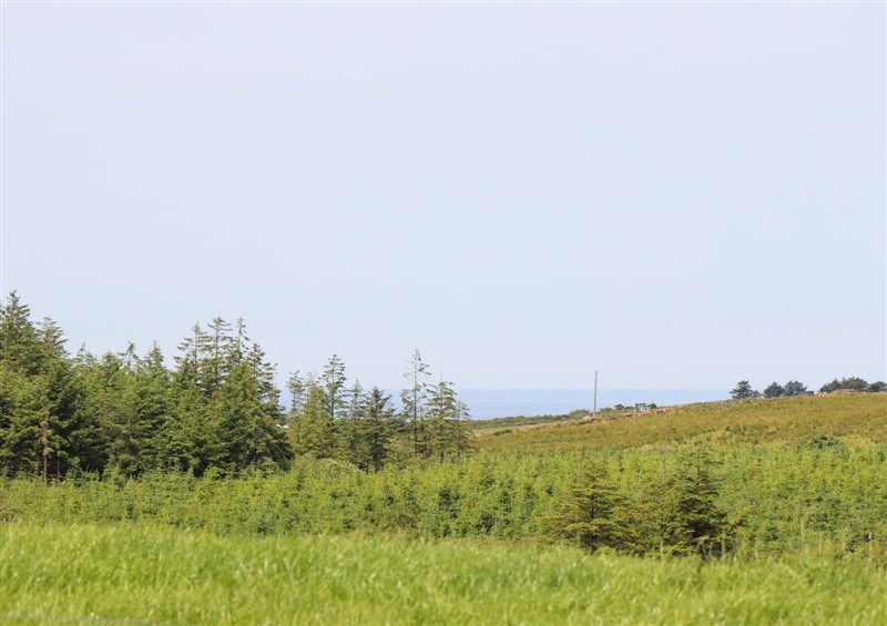 This is the garden at Teach Ti, Lahinch