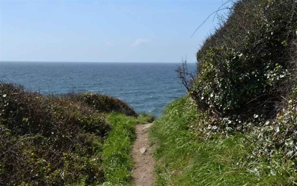 Coastal path