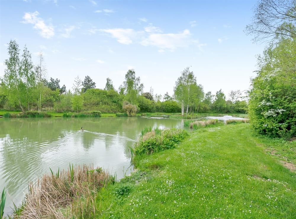 Garden and grounds at Teal in Marston, Lincolnshire