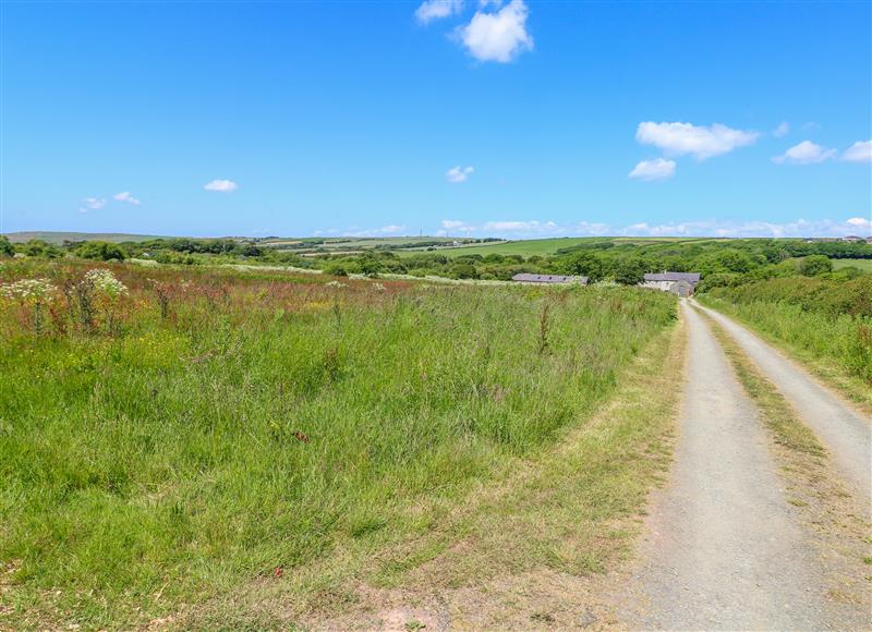 The area around Teasel