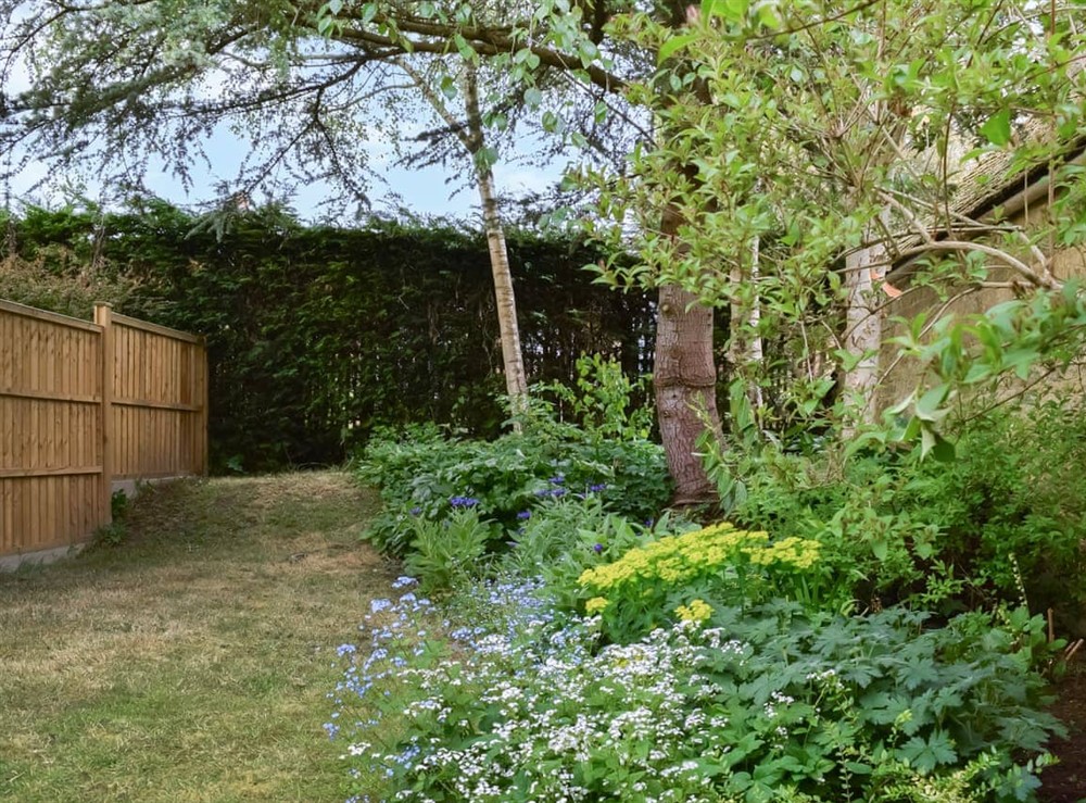 Garden (photo 2) at Teddys Cottage in Market Overton, Leicestershire