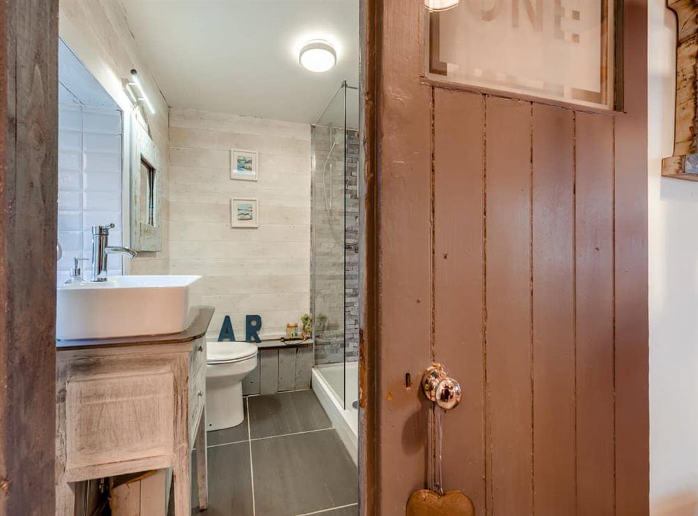 Shower room (photo 2) at Tegfan in Ffos-y-ffin, near Aberaeron, Dyfed