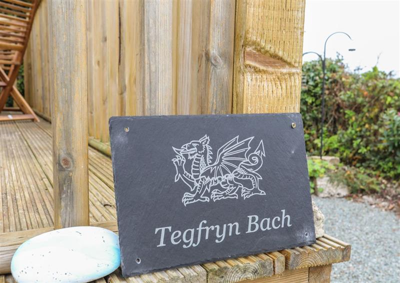 This is the garden at Tegfryn Bach, Llangoed near Beaumaris