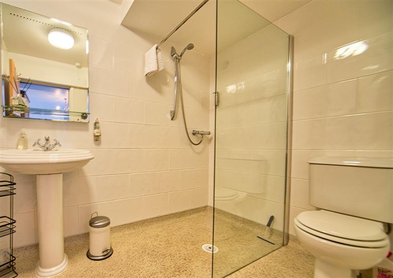 The bathroom at Tegid Lakeside Apartment, Bala