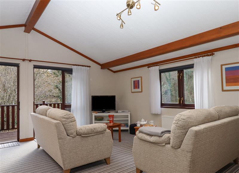 Enjoy the living room at Teign River Retreat, Drewsteignton near Moretonhampstead