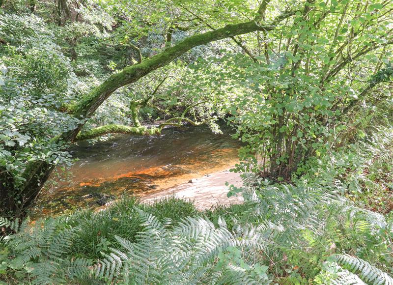 The setting at Teign River Retreat, Drewsteignton near Moretonhampstead