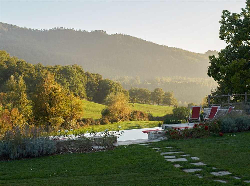Telena Valley View