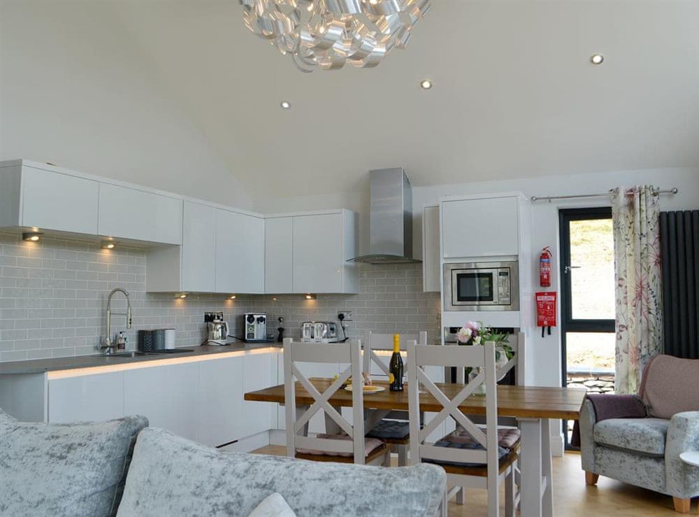 Beautifully presented open plan living space (photo 2) at Tenement Farm Lodge in Burneside, near Kendal, Cumbria