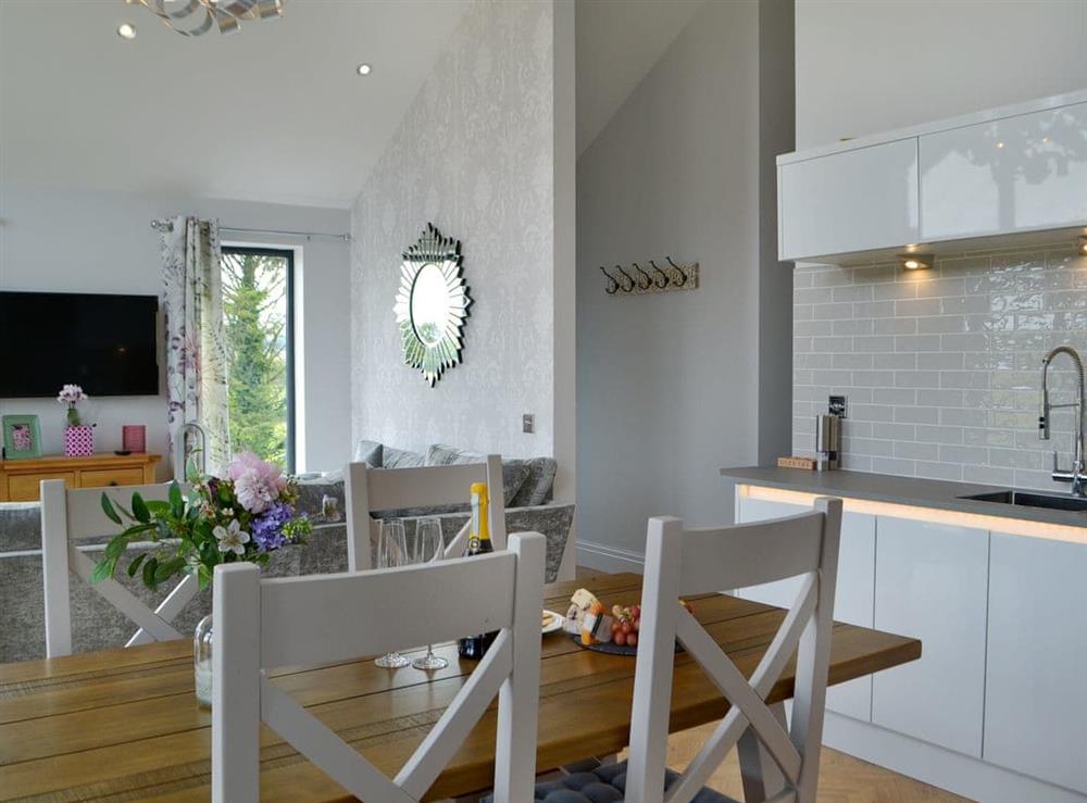 Beautifully presented open plan living space at Tenement Farm Lodge in Burneside, near Kendal, Cumbria