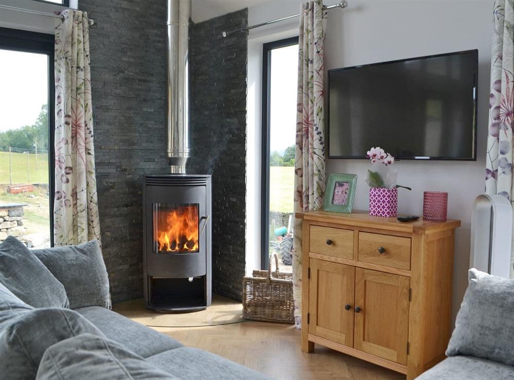 Stylishly furnished living area with wood burner at Tenement Farm Lodge in Burneside, near Kendal, Cumbria