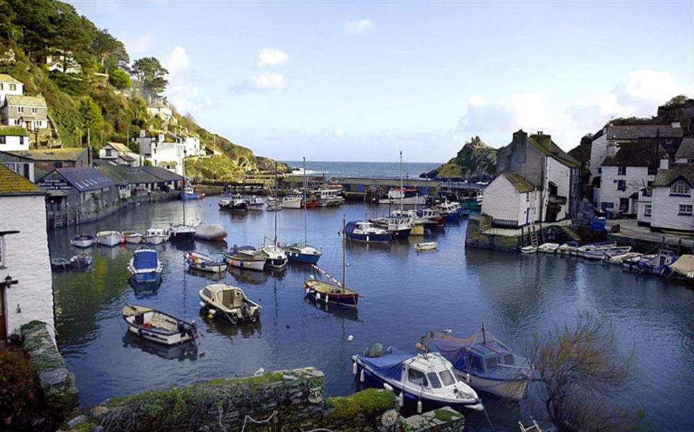 The lovely harbour views, which can be enjoyed from Terrills at Terrills in Polperro