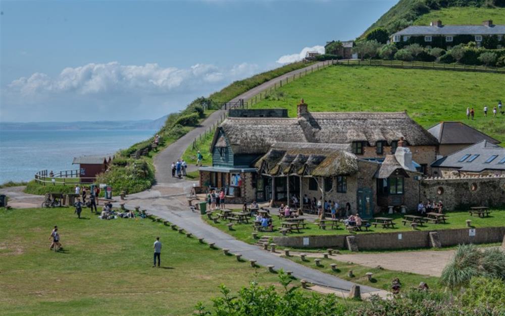 Branscombe beach area at Terry Holt in Branscombe
