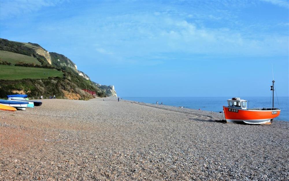 Nearby Branscombe Beach at Terry Holt in Branscombe