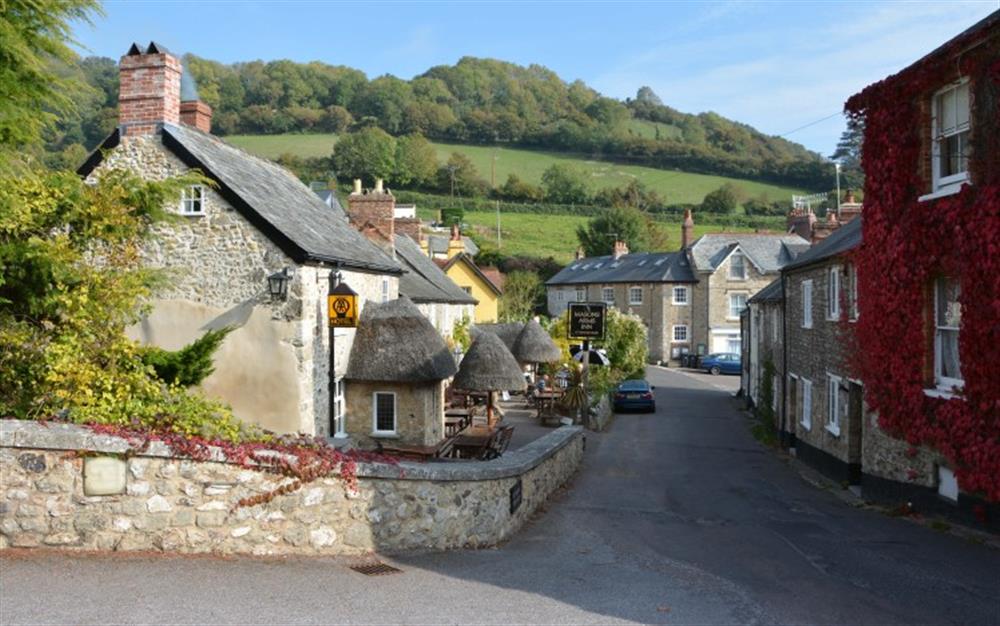 The pretty village of Branscombe with two welcoming pubs. at Terry Holt in Branscombe