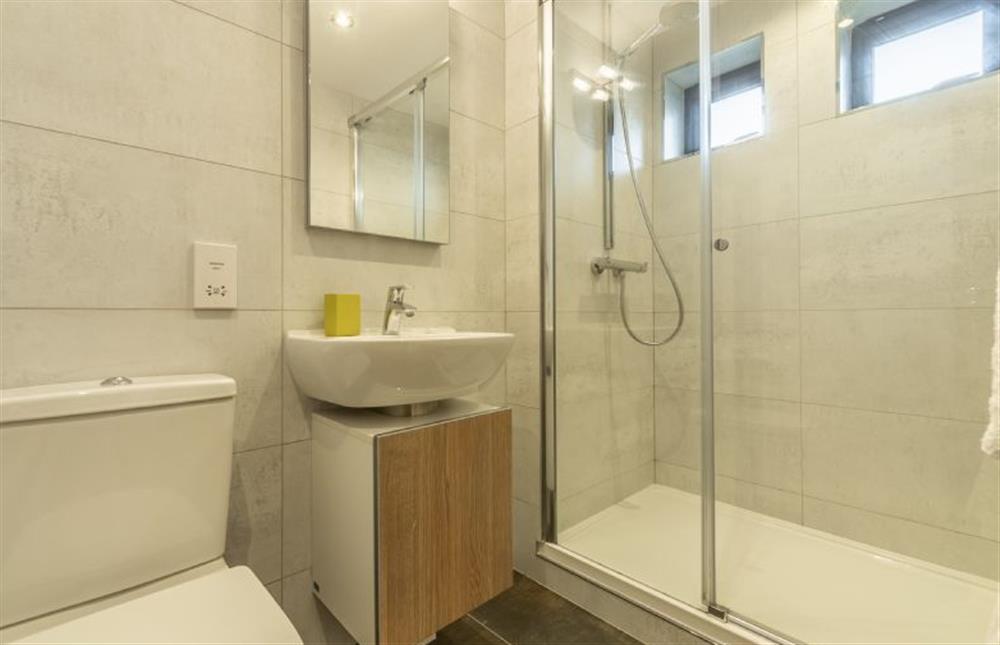 Bedroom two en-suite with shower, wash basin and WC at Teyr Mor Cliff, Chapel Porth, St Agnes