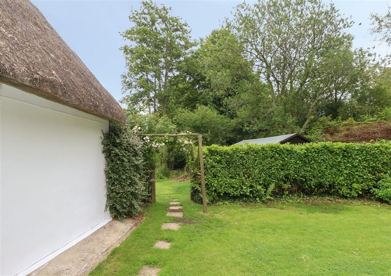 This is the garden at Thatch Cottage, Buckland Newton