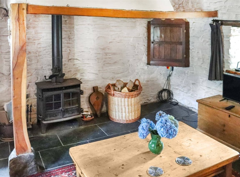 Living area at Thatched Cottage in Llandeilo, Dyfed