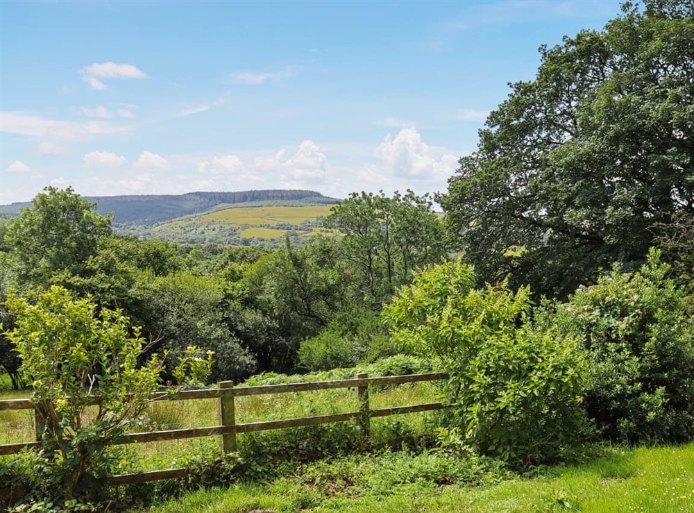 Surrounding area at Thatched Cottage in Llandeilo, Dyfed